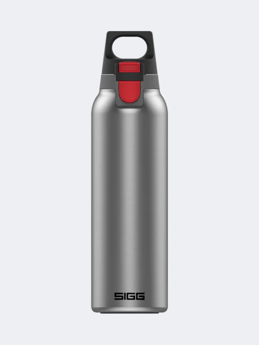 Choose Genuine Super Quality Sigg Thermo Flask Hot And Cold One 0.55 L Lifestyle Bottle Light Brushed 68% OFF-New Arrivals save up to 75% off, 100% quality and fast shipping worldwide, welcome to ourders our official site.