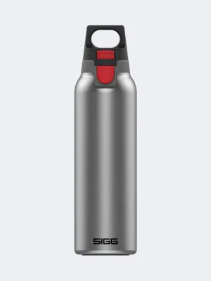 Get 2025 latest style 100% Cheap & New Sigg Thermo Flask Hot And Cold One 0.55 L Lifestyle Bottle Light Brushed -69%off On Sale online sale, hurry up to choose our newest Items, 100% quality.