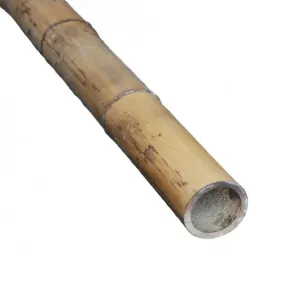 Shop for cheap 2024-2025 Authentic Replacement Bamboo Centre Pole ,Big Discount online store, all these products for sale with our excellent quality, 74% off.