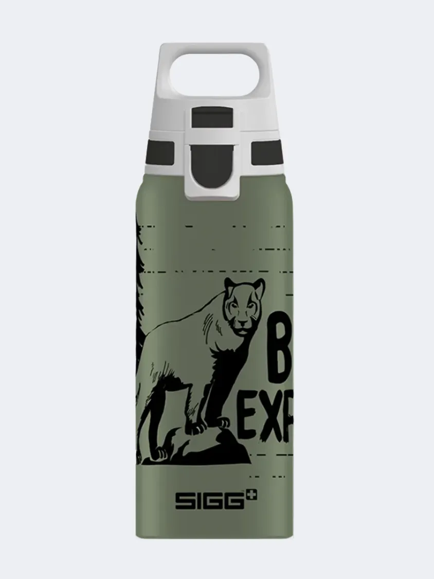 Highest quality 2025 Newest Style For Sigg Wmb One Brave Mountain Lion 0.6 L Outdoor Water Bottle Olive Green For Streaming hot sale here, great discount sale for all the Items.