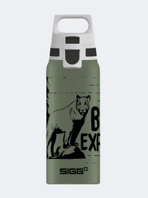 Highest quality 2025 Newest Style For Sigg Wmb One Brave Mountain Lion 0.6 L Outdoor Water Bottle Olive Green For Streaming hot sale here, great discount sale for all the Items.
