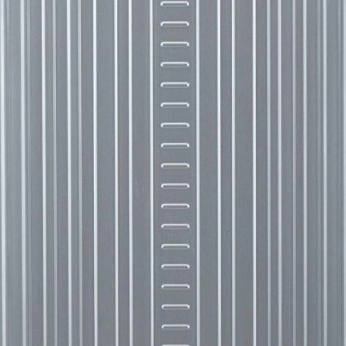 Aleon 21" Carry-On Aluminum Hardside Luggage (Platinum) Silver