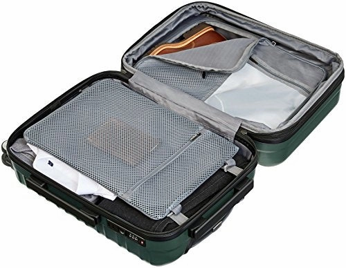 Amazonbasics Premium Hardside Spinner Luggage With Built-In Tsa Lock - 20-Inch Carry-On, Green