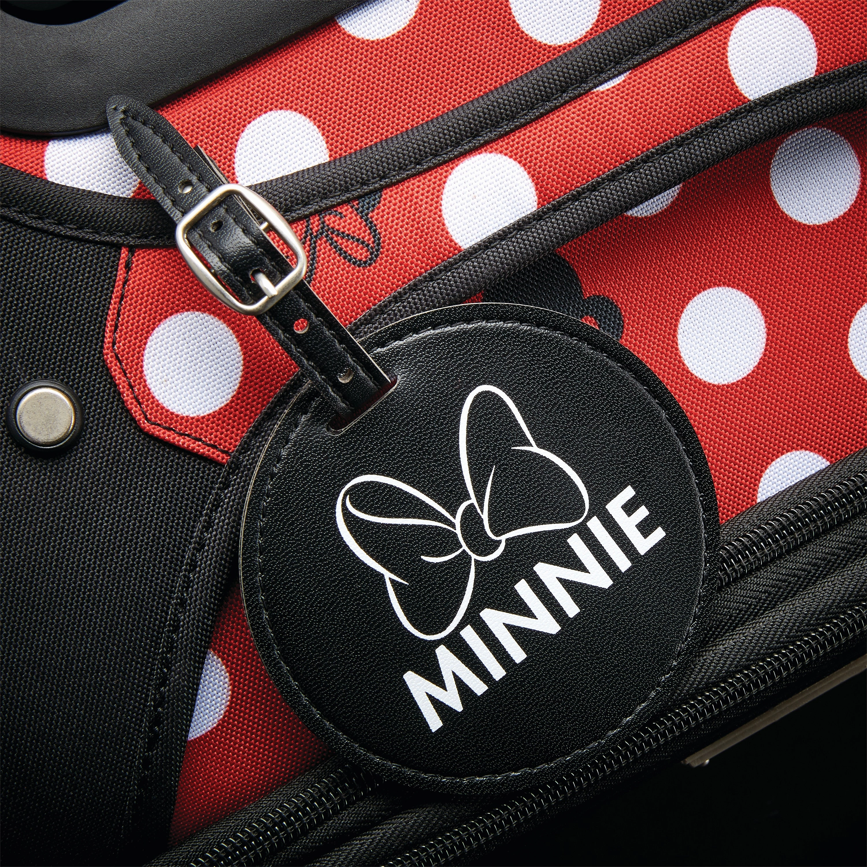 American Tourister Disney 2-PC Softside Spinner Set