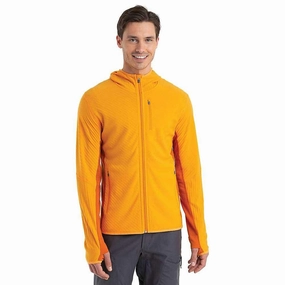 Browse Best Choice For Discount Icebreaker Mens Descender LS Zip Hood On Sale,Bottom Price fashionable style, free shipping for you.
