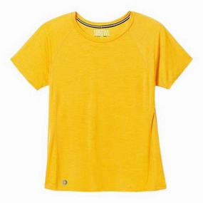 Full range of fashion Claim Smartwool Womens Merino Sport 120 SS Tee ,High Quality is free shipping worldwide, high quality and discount price from our online store.