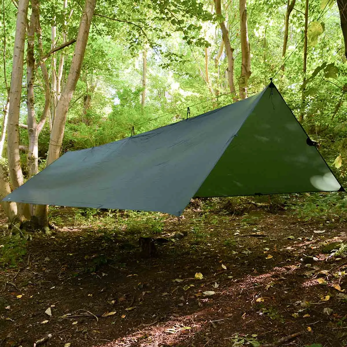 High quality Deal On 66%Off Cheap DD Hammocks Superlight Tarp XL Olive Green - 4.5m x 2.9m New Style , here to provide you with the latest trends and best quality.