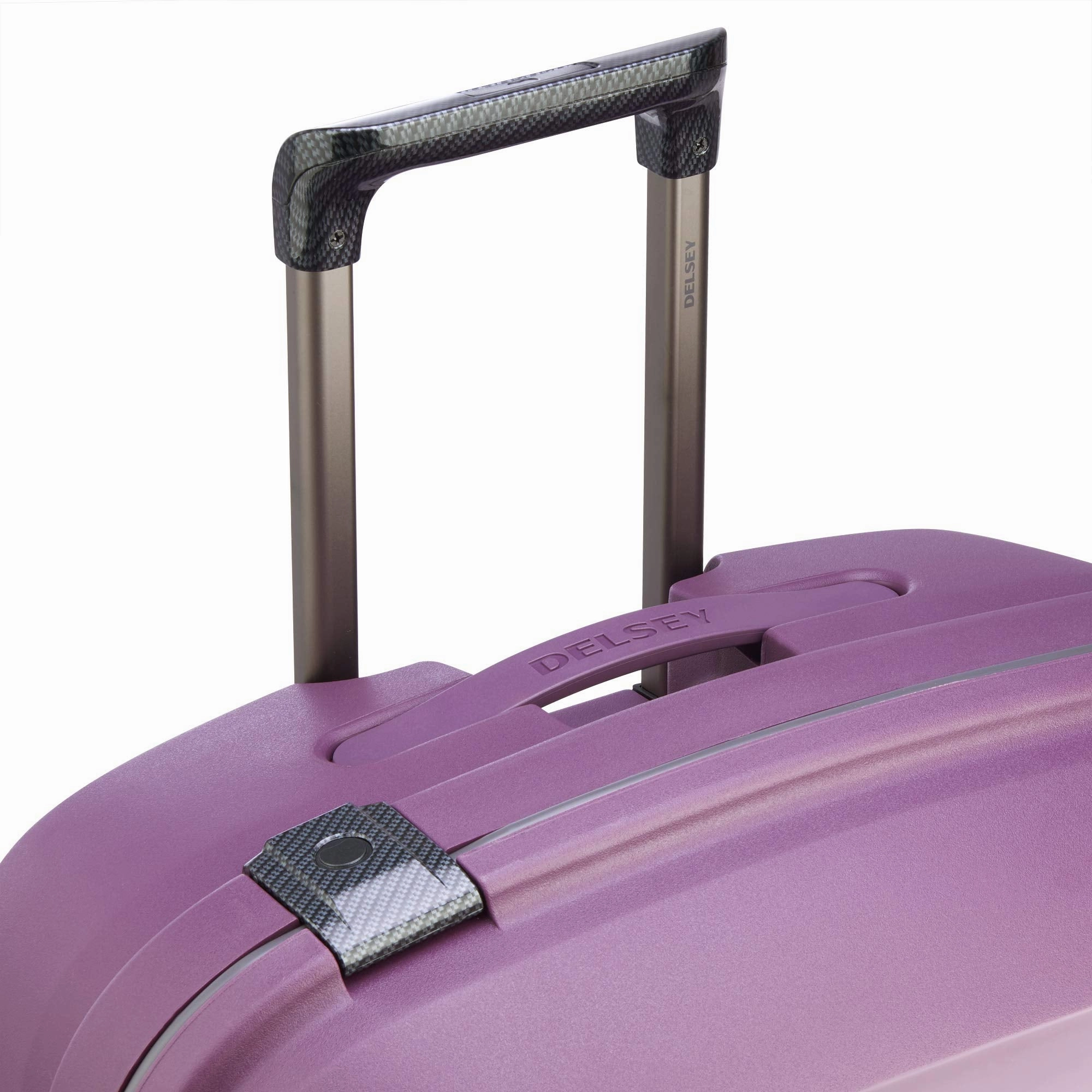 DELSEY Paris Belfort DLX 30" 4-Wheel Large Luggage