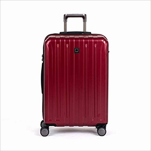 DELSEY Paris Helium Titanium 25" 4-Wheel Medium Luggage