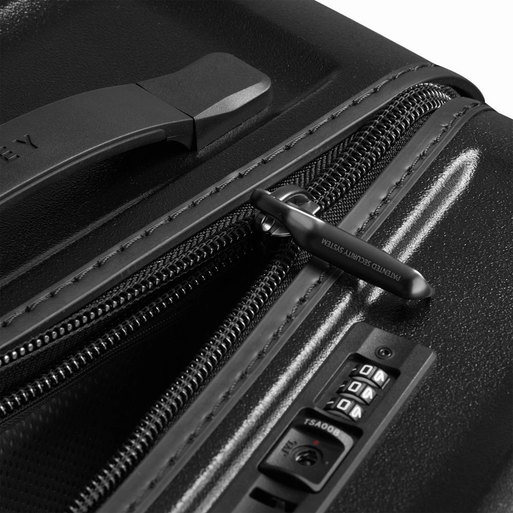 Delsey Paris Turenne 2.0  29-Inch Spinner Luggage