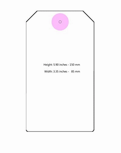 Dynotag Protagz Series Web/Gps Enabled Qr Smart Mega Luggage Tag W. Double Steel Loops - In Six