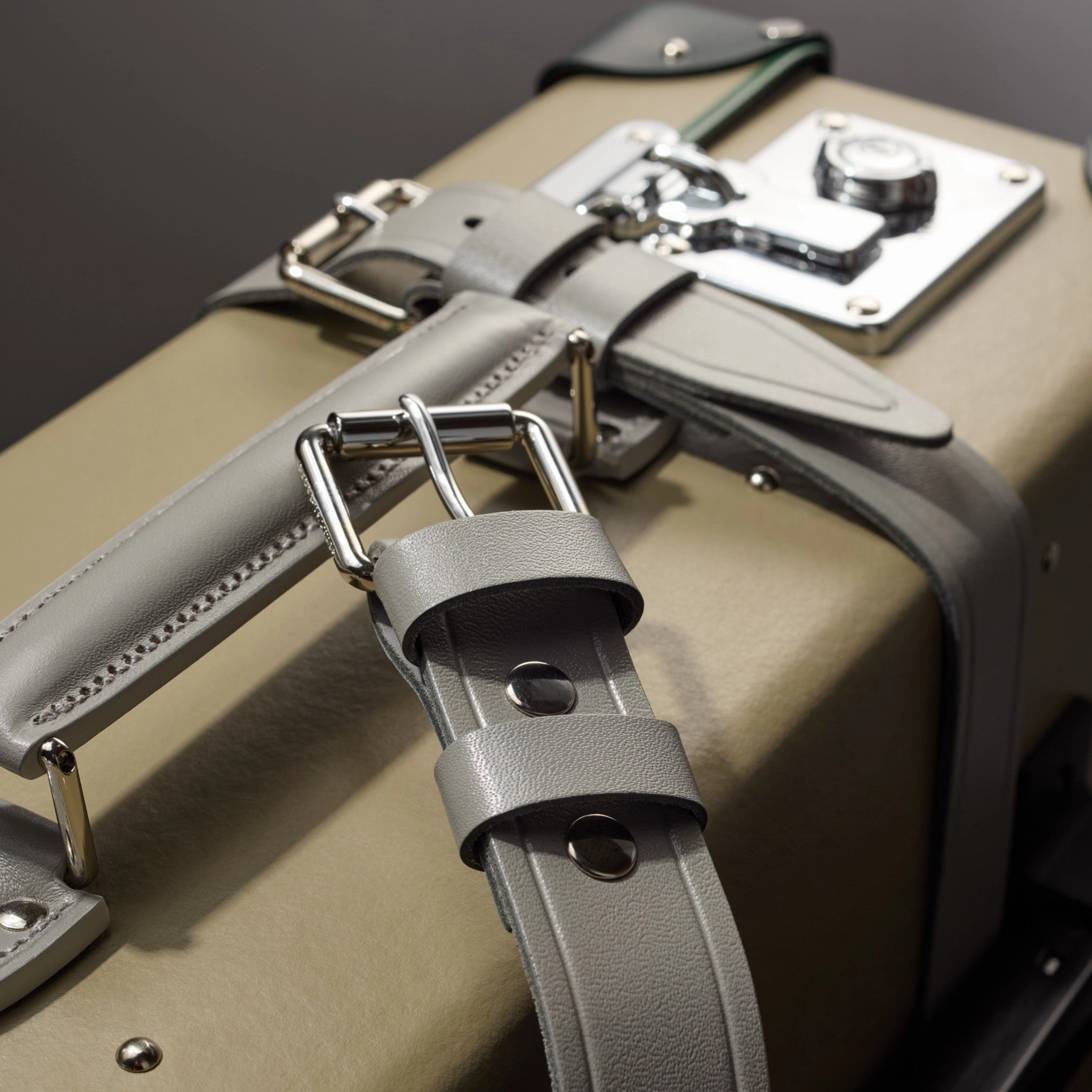 Elephant Family  Large Check-In - 2 Wheels | Olive Grey/Kerry Green/Chrome