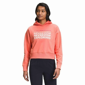 Authentic Find Designer The North Face Womens Logo Play Hoodie Online Free Shipping , our goods of every description and available.