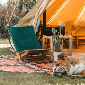 Get 2025 Authentic Full Collection For Cheap Canvas Deck Chair ,70-85%OFF Clearance Website online store, free shipping, best quality of Items sale.