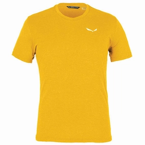2025 FIFA World Cup Russia Get Online Salewa Mens Alpine Hemp Logo T-Shirt Online Shop,Best Quality at the best price compare with others.
