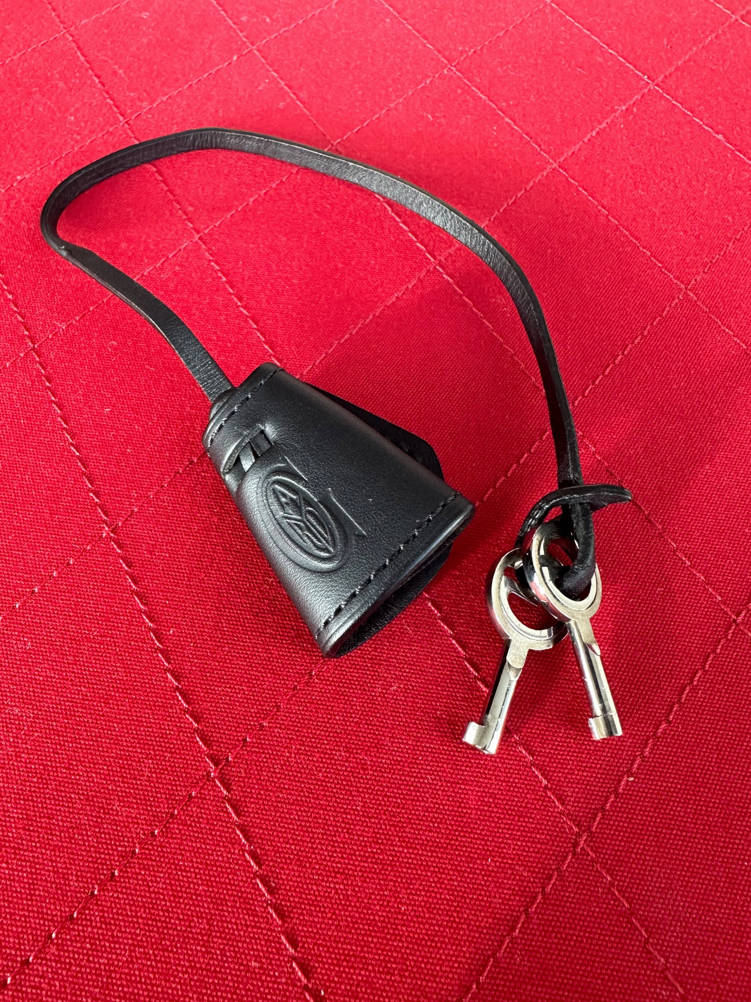 Goyard Black Document Handle Trunk