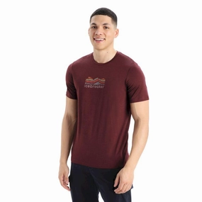 Fashion new style New Type Cheap Icebreaker Mens Tech Lite II SS Tee - Mountain Geology ,100% Original , top quality and best price, bottom price.