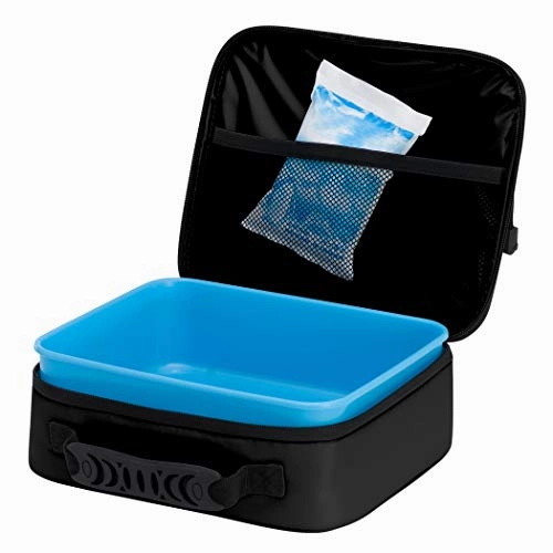 NFL New Orleans Saints "Cooltime" Lunch Kit, 10" x 8" x 3"