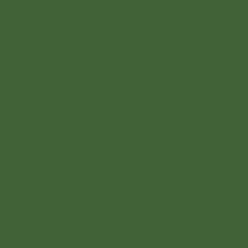 Osprey Packs Exos 48 Backpacking Pack, Tunnel Green, Medium