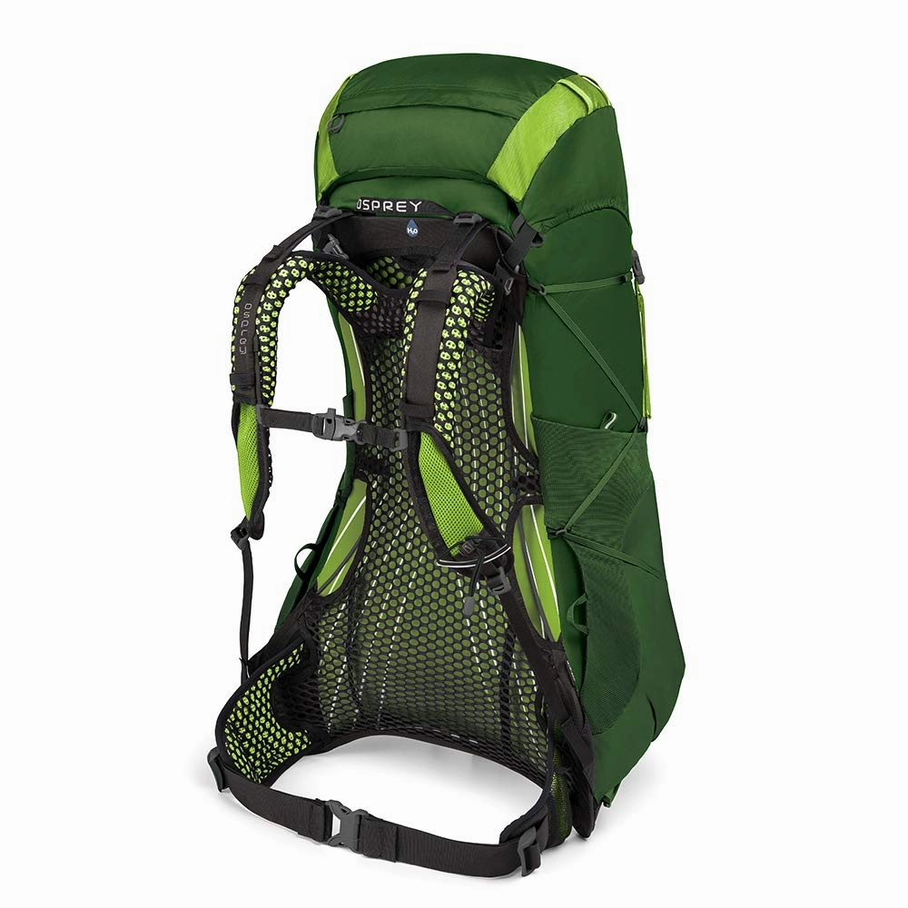 Osprey Packs Exos 48 Backpacking Pack, Tunnel Green, Medium