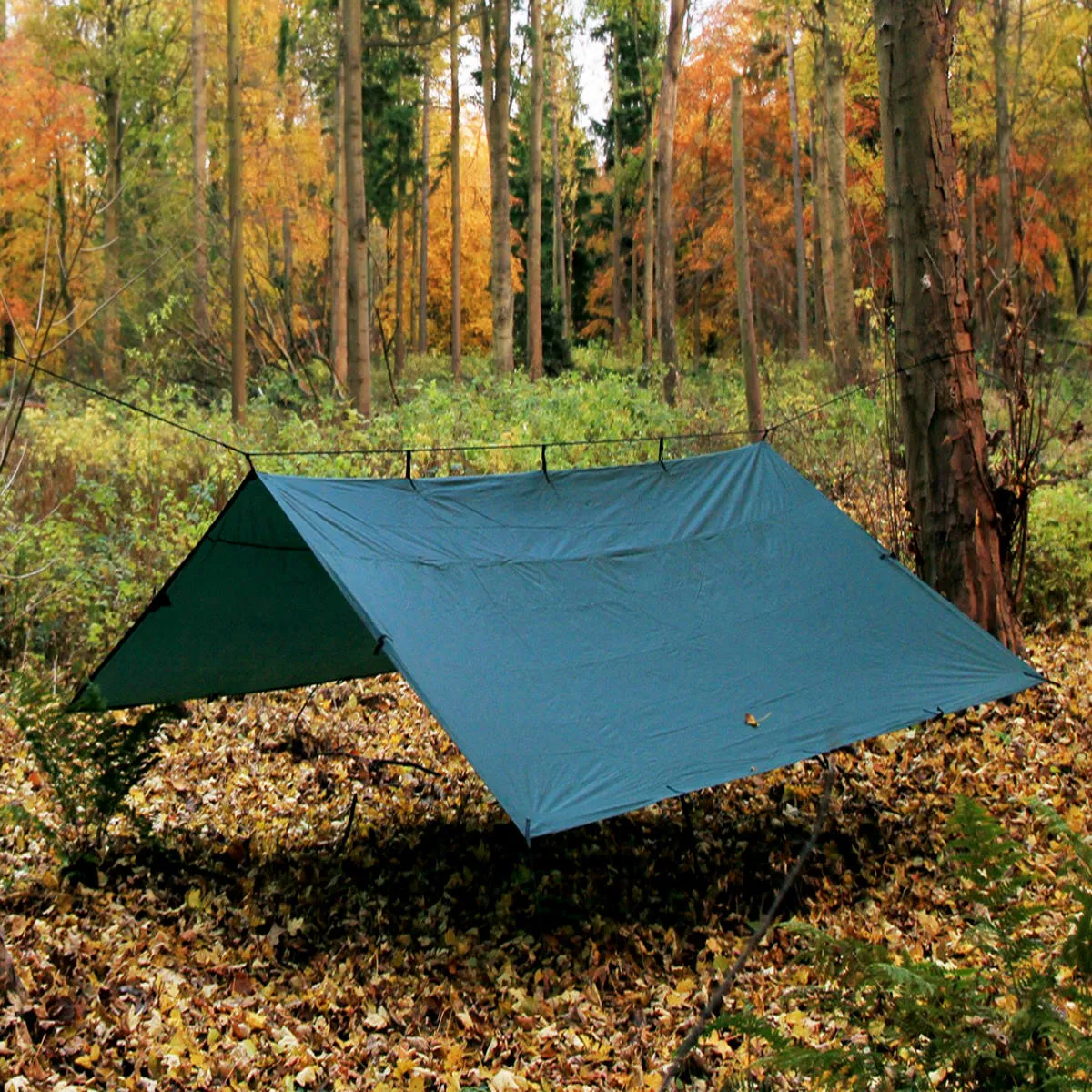Find the largest selection of DD Hammocks Tarp 4x4 with good quality, bottom price, you may find our best Items for free shipping.