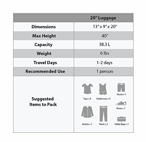 Rockland 20 Inch Polycarbonate Carry On, Owl, One Size