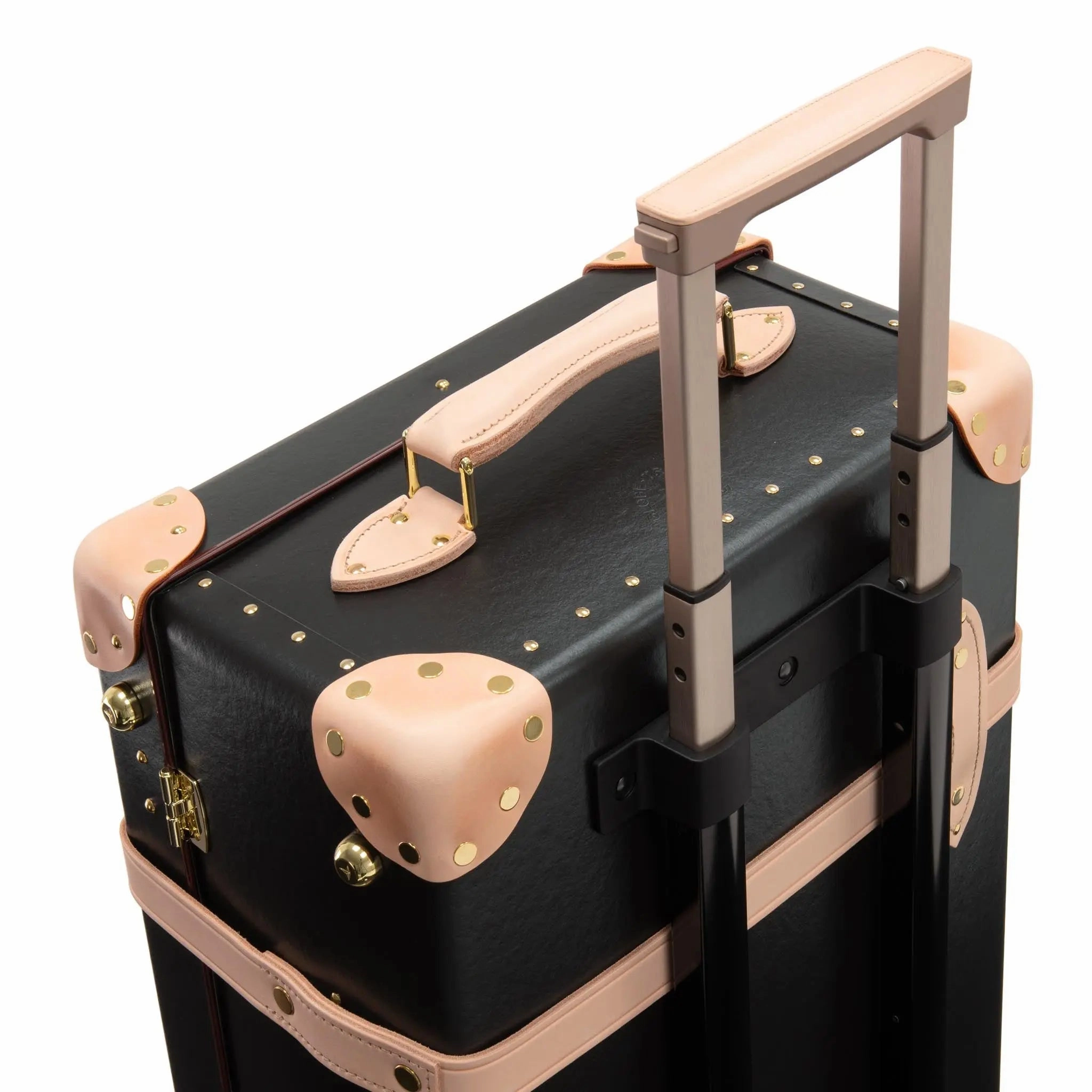 Safari  Medium Check-In - 2 Wheels | Brown/Natural/Gold