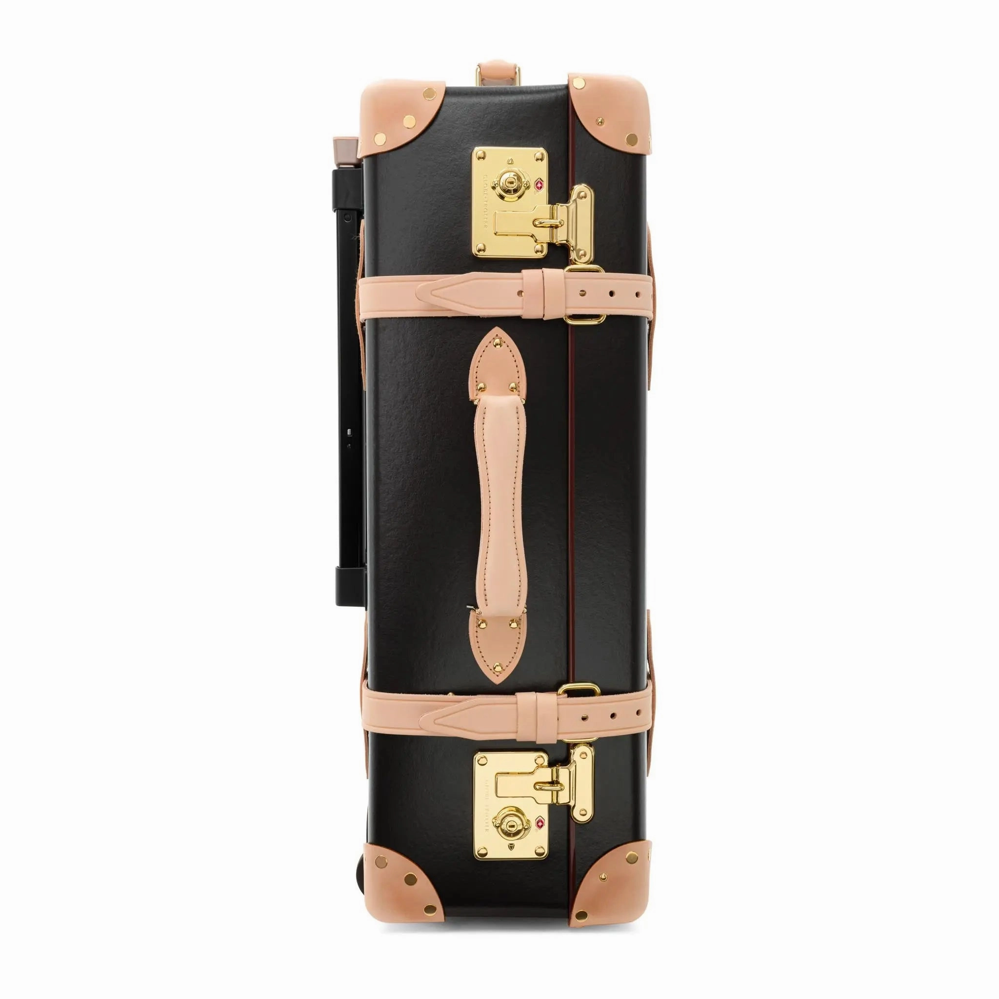 Safari  Medium Check-In - 2 Wheels | Brown/Natural/Gold