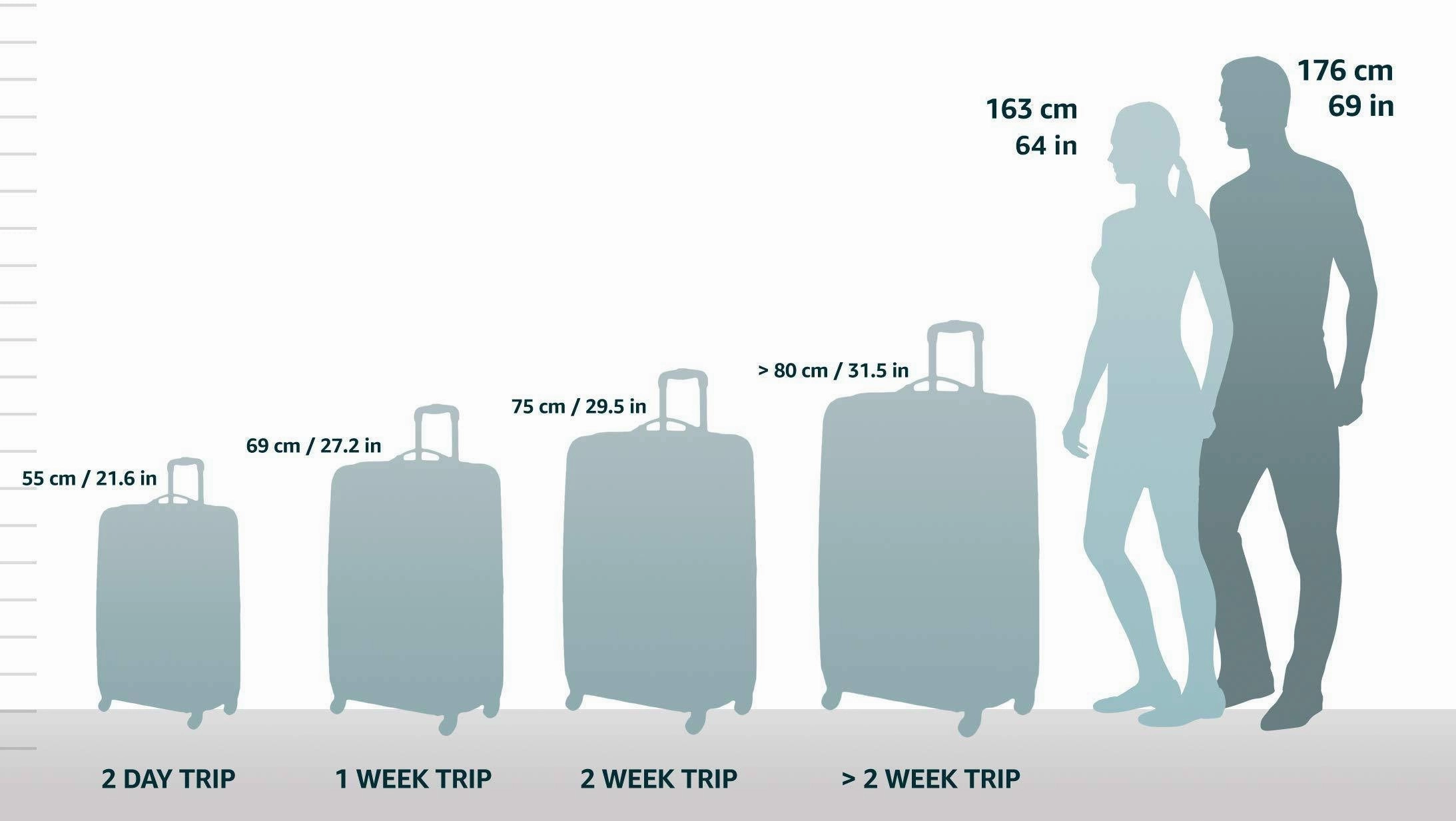 Samsonite Fiero HS Spinner 24