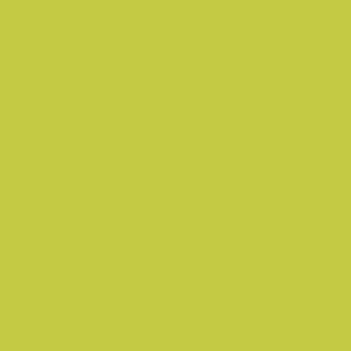 Samsonite Security ID Luggage Tag (Set of 2) Neon Green