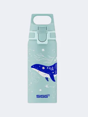 2025 FIFA World Cup Russia Search For Clearance Sigg Wmb One Dive 0.6 L Outdoor Water Bottle Green Blue For Gaming , 74% Off now, all these Items are in stock, free shipping for you.