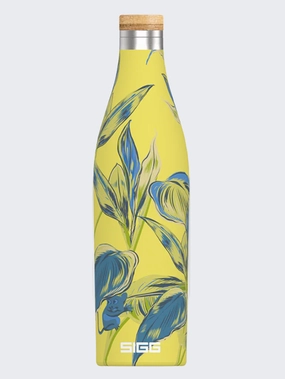 Best and high quality Shop For Clearance Sigg Thermo Meridian Sumatra Maki 0.5 L Outdoor Water Bottle Yellow/Multi ,Fashion Style store, cheapest price and 100% quality, welcome to orders our authentic Items.