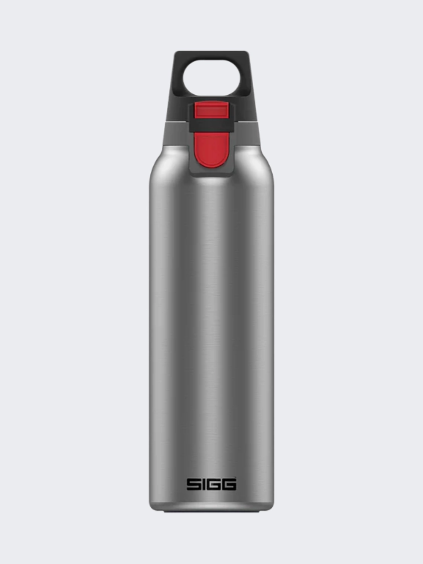 Choose Genuine Super Quality Sigg Thermo Flask Hot And Cold One 0.55 L Lifestyle Bottle Light Brushed 68% OFF-New Arrivals save up to 75% off, 100% quality and fast shipping worldwide, welcome to ourders our official site.