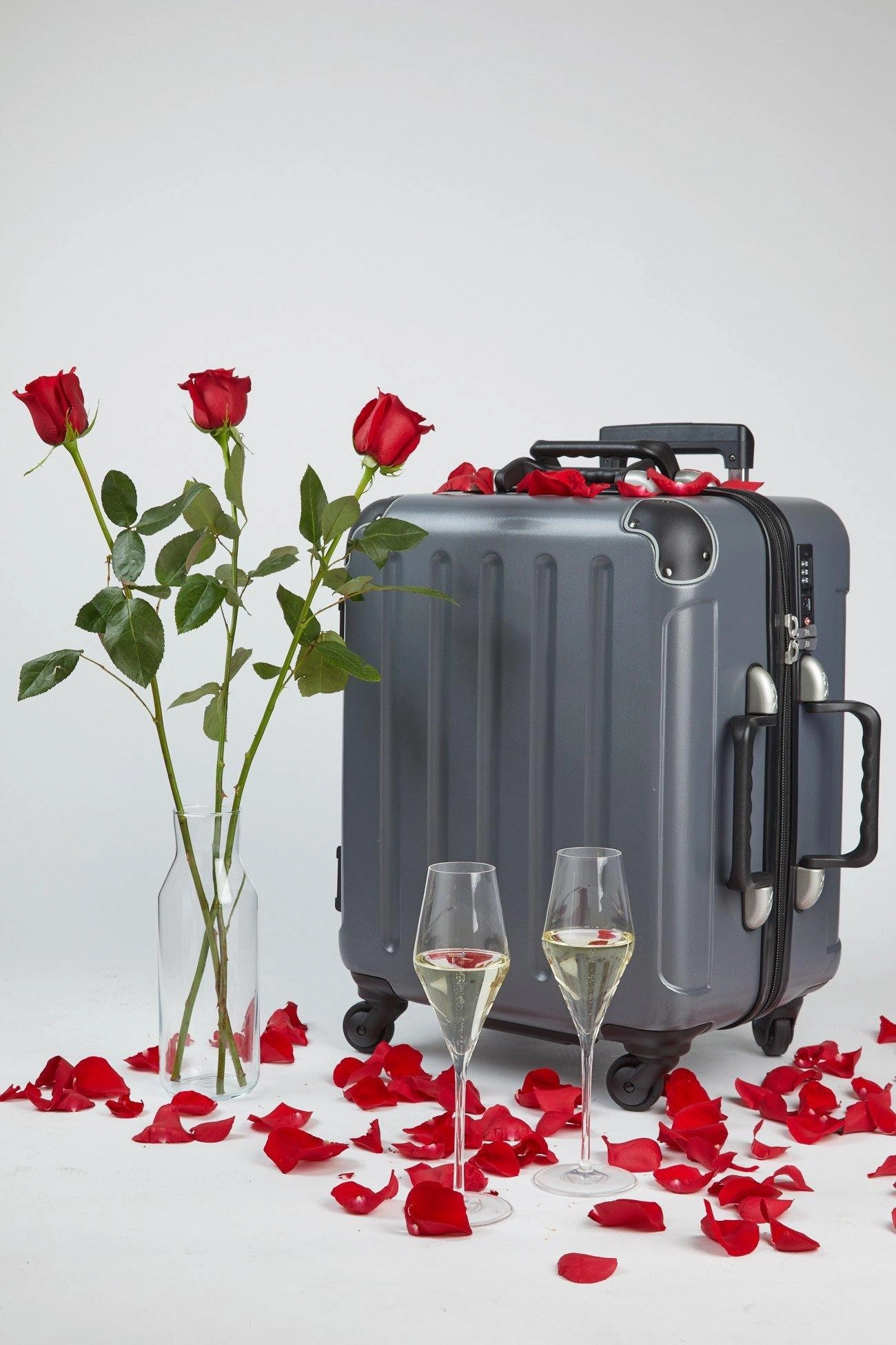 VinGardeValise Petite Carry-On Wine Case